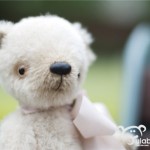 fuzzy bear