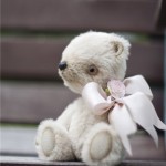 bear with a big bow
