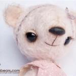 sweet bear
