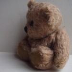 Cute brown bear