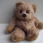 Cute brown bear1